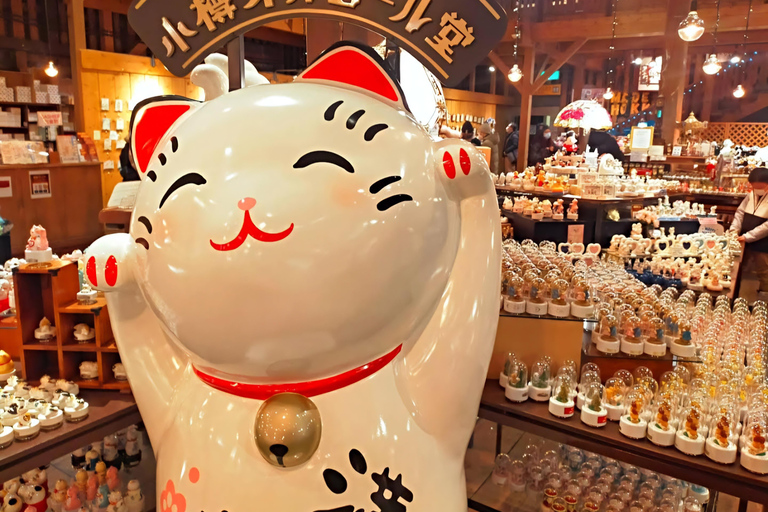 Tokyo, Mt. Fuji, Kyoto, Osaka: 7-Day Private Tour of Japan