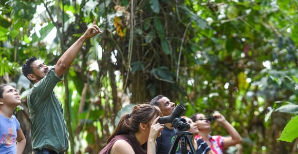 Wake Up with the Forest: Sunrise Birding Experience at EcoGarden Arenal