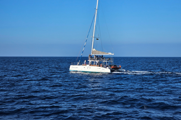 Mirissa or Colombo: Sunset Yacht Cruise with Sparkling Wine Colombo: Sunset Yacht Cruise with Sparkling Wine