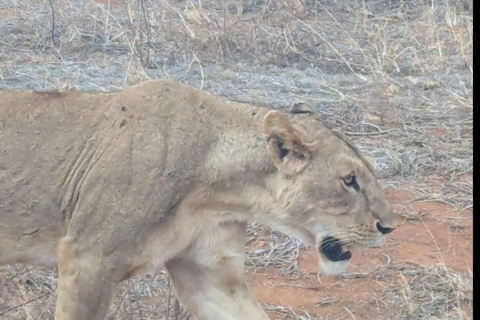 Von Mombasa/Diani: 3-tägige Tsavo Ost und Amboseli Safari3 Tage Tsavo Ost und Amboseli