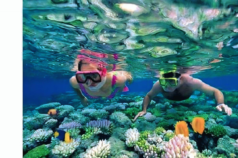 Gili Kondo, Bidara & Petagan Snorkeling Day Trip with Lunch Lombok: Gili Kondo, Bidara, Petagan Snorkel for small group