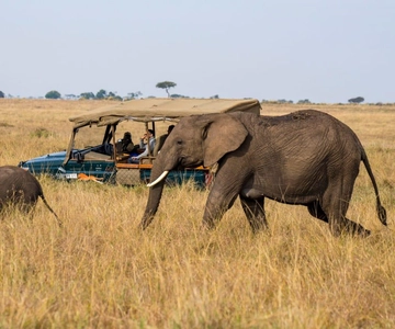 Kenia: Excursión de 6 días en tiendas de campaña Espíritu de Kenia