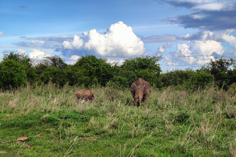 Nairobi national park half day private tour with admission.