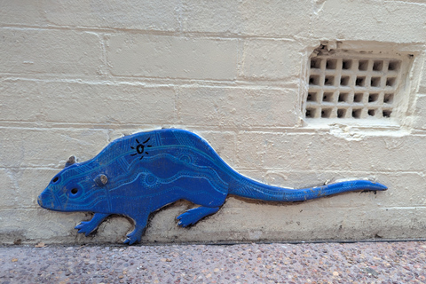 Brisbane: Guided Public and Street Art Walking Tour
