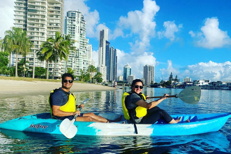 Gold Coast: Surfers Paradise Kayak Tour — Day or Sunset Sunset: Surfers Paradise Kayak & Wildlife Tour