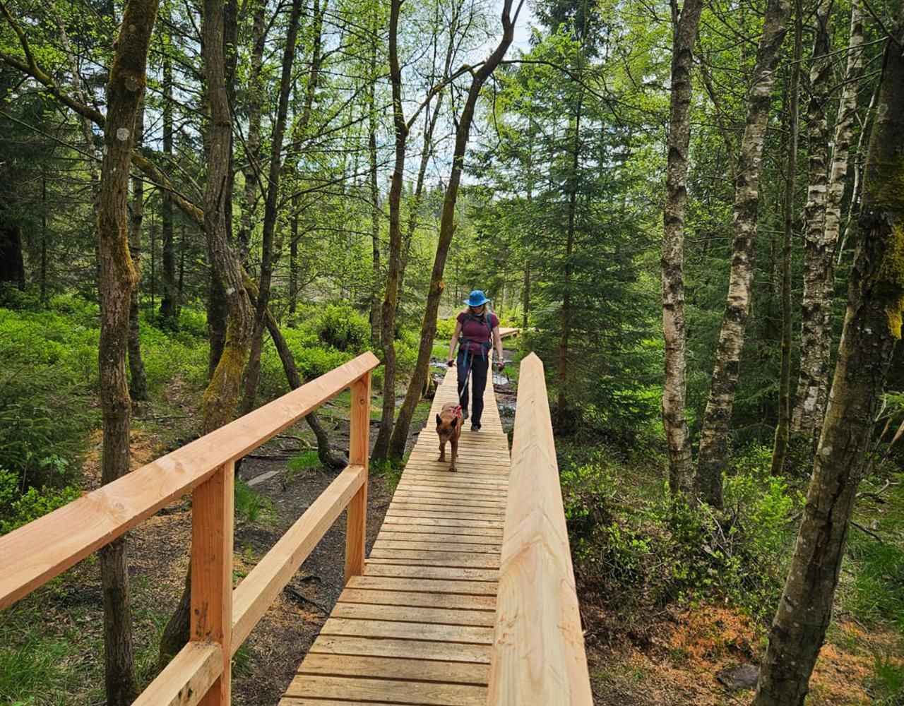 5-stündige Wanderung auf dem Harzer Hexenstieg