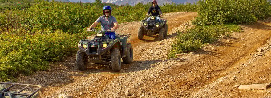 Parc national de Denali : Aventure en quad dans la nature sauvage