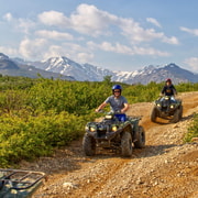 Denali National Park Wilderness Atv Adventure