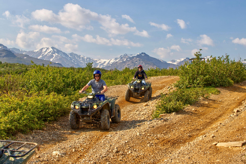 Denali ATV Wilderness Adventure - Guided ATV Tour Enclosed Side by Side ATV - 2 passengers
