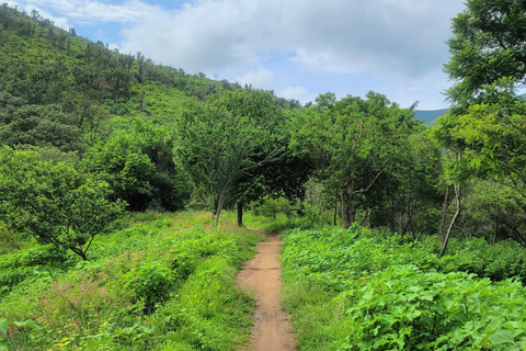 Oaxaca : Randonnée à vélo, arbre et lac Tule