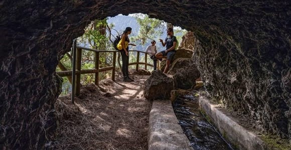 Marcos and Cordero Springs: Trekking through tunnels and ravines