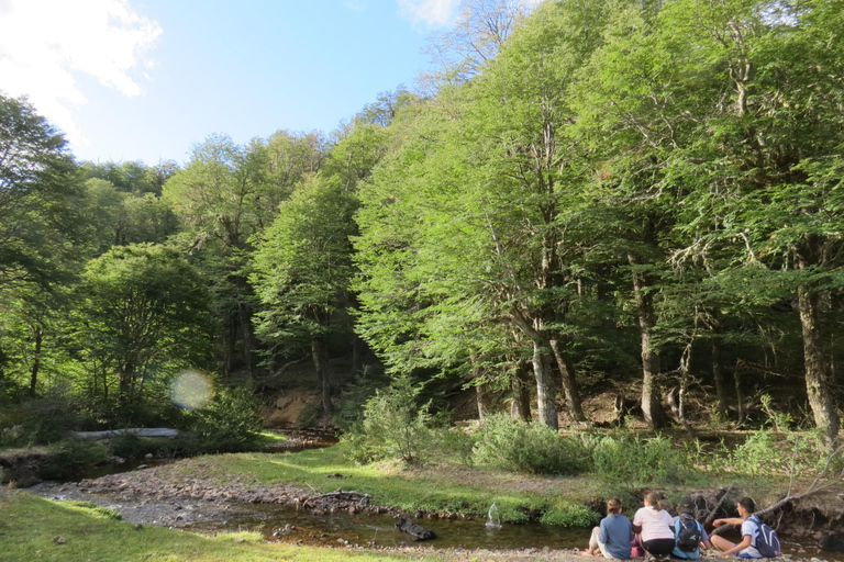 San Martin de los Andes Sightseeing Tour: Mallin Grande