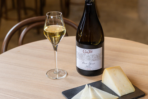 Barcelona: Cavas Hill - Visita a uma adega e degustação de queijosBarcelona: Colina Cavas - Tour pela adega e degustação de queijos