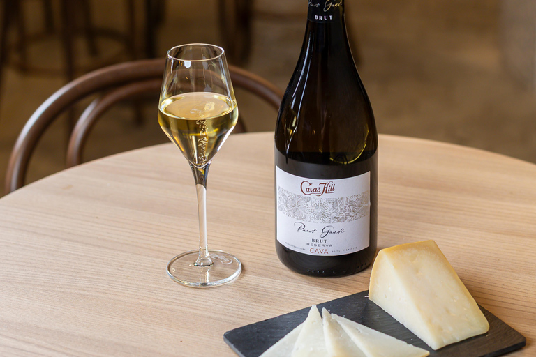 Barcelona: Cavas Hill - Visita a uma adega e degustação de queijosBarcelona: Colina Cavas - Tour pela adega e degustação de queijos