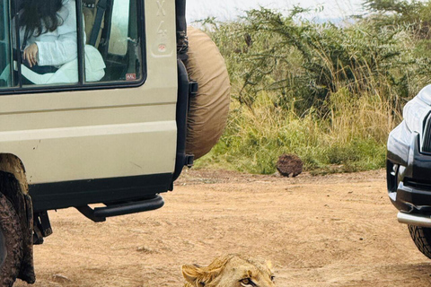 Nairobi National Park Half-Day Guided Safari (4–5 Hours) Nairobi National Park Half-Day Shared Guided Safari