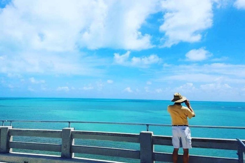 Florida Keys: Up The Keys Nature Tour