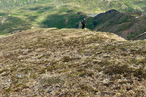 Denali: 5-Hour Guided Wilderness Hiking Tour Denali 4-Hour Hiking Tour