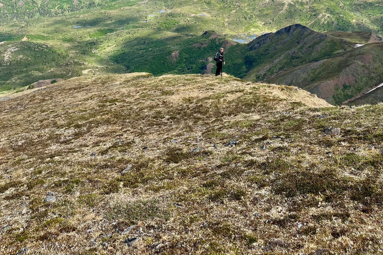 Denali: 5-Hour Guided Wilderness Hiking Tour Denali 4-Hour Hiking Tour