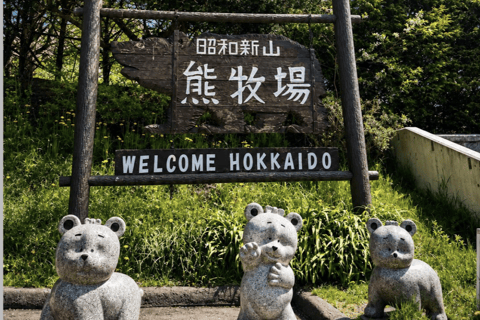 Lake Toya Fireworks, Farm & Showa-shinzan Tour