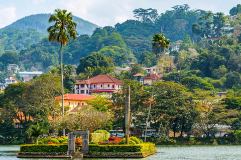 Sri Lanka : 10 jours de loisirs