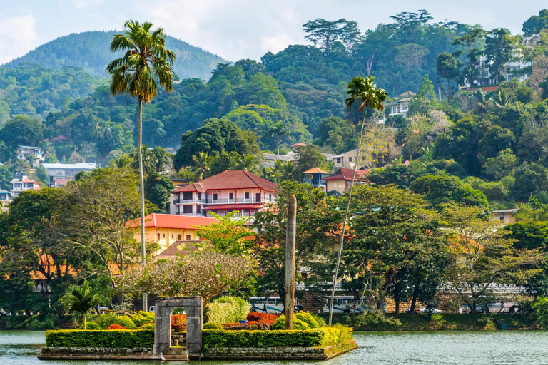 Sri Lanka : 10 jours de loisirs