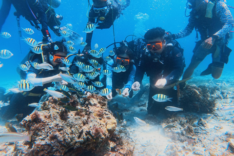 Cebu: Discover Scuba Diving Experience with Hotel Pickup