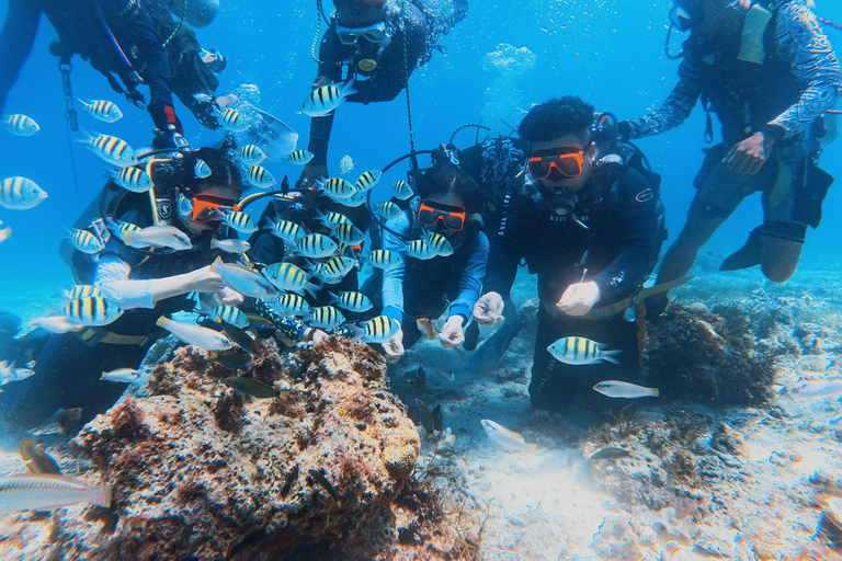 Cebu: Discover Scuba Diving Experience with Hotel Pickup