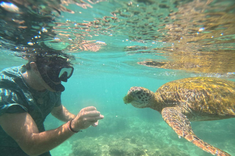 Mirissa Snorkeling Trip with Sea Turtles & Coral Reef