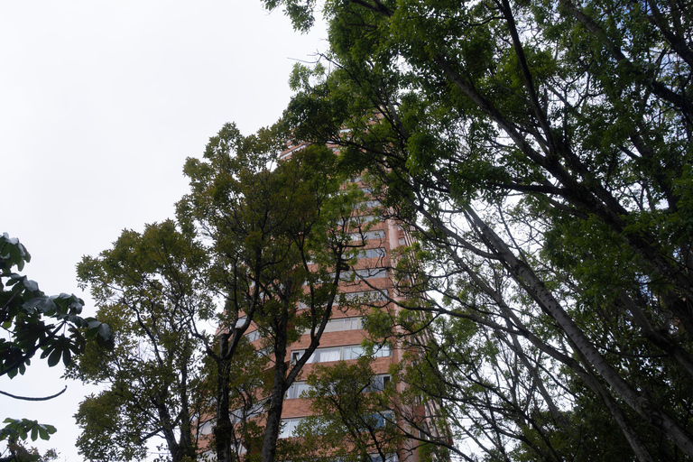 Bogotá: Tour a pie con la abuela por el centro de BogotáBogotá: tour a pie por el centro de Bogotá con una abuela