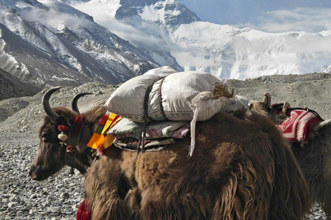 Nepal: Gokyo Lakes & Everest Base Camp Trek | Eco-Certified|
