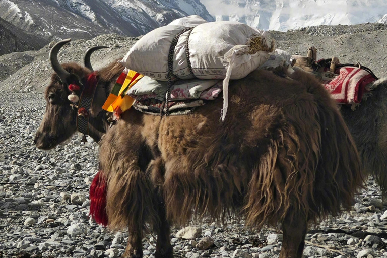 Nepal: Gokyo Lakes & Everest Base Camp Trek | Eco-Certified|