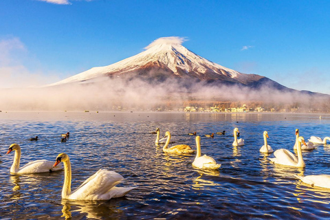 Monte Fuji: Oshino Hakkai, Hakone, Excursión de un día en teleférico OwakudaniEstación de Tokio 8:00