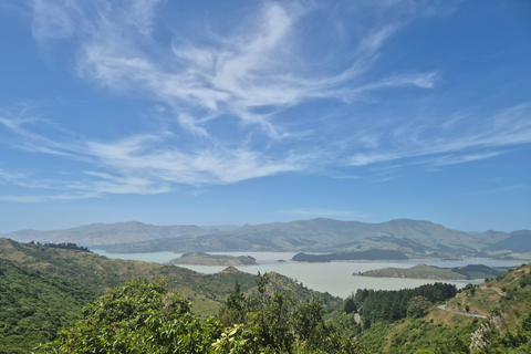 Christchurch Private Scenic Highlights Tour with Local Guide