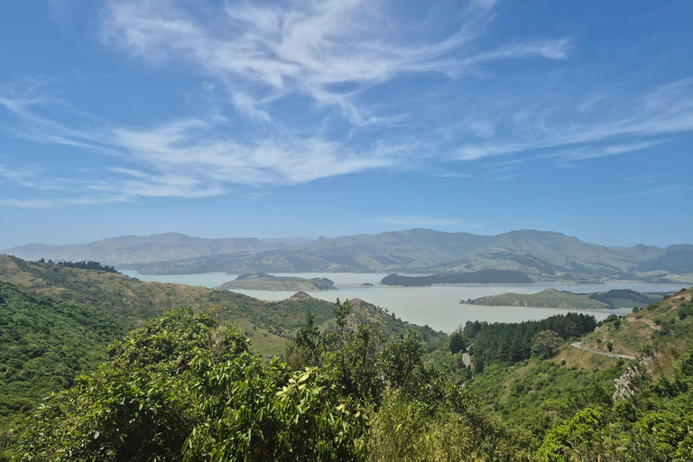 Christchurch Private Scenic Highlights Tour with Local Guide