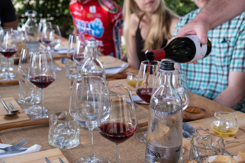 Firenze: tour guidato in bici elettrica nella campagna toscana con pranzo