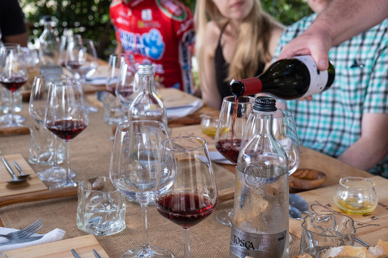 Firenze: tour guidato in bici elettrica nella campagna toscana con pranzo
