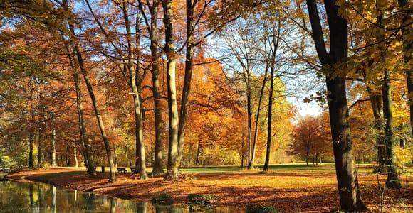 Munich: Guided Walk through the Hofgarten and Englischer Garten