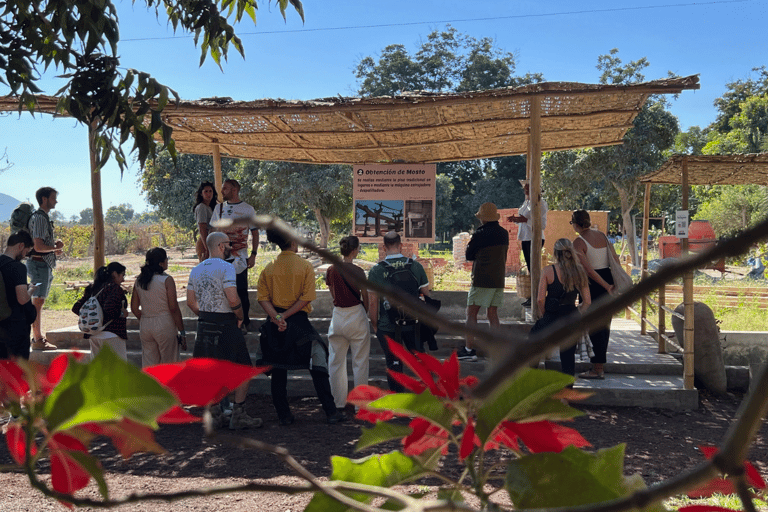 Pro Sanboarding o esquí en Huacachina desde Lima - Excursión de un díaPro Sanboarding o Esquí en Huacachina desde Lima - Excursión de un día