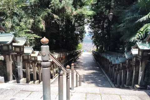 Nara: Führung durch den Hozan-ji-Tempel mit Seilbahnfahrt