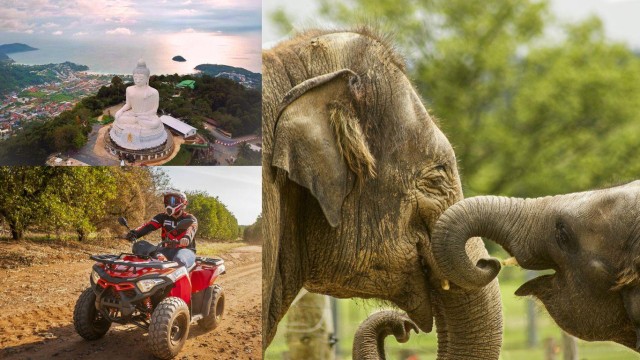 Safari Trails & Off-Road Ventures with Big Buddha