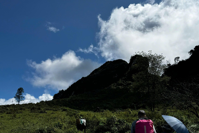 Ruta de un día por Sapa: Terrazas de arroz y pueblos étnicos