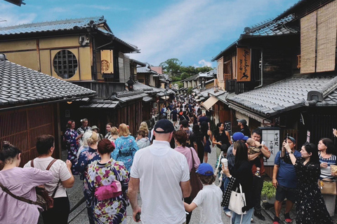 Tour privato di Kyoto in prima serata: I principali luoghi di interesse in mezza giornata