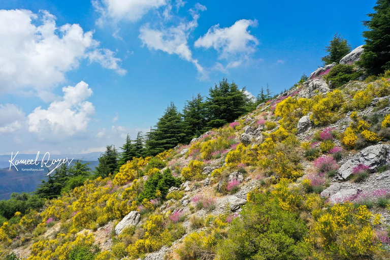 Chouf Mountains: Mousa & Mir Amin Castles Tour