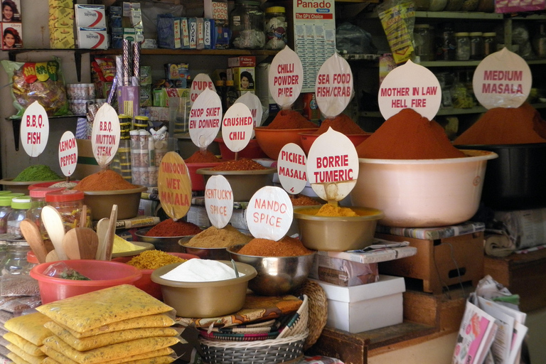Durban : visite guidée d&#039;une jounée complète avec option de trajet en Sky CarDurban : visite guidée d&#039;une jounée complète de la ville avec option de trajet en Sky Car