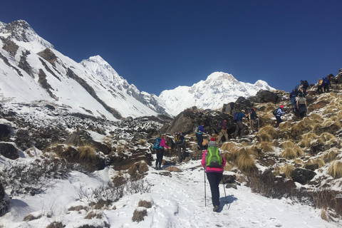 4-dniowy budżetowy trekking Poon Hill z Pokhary