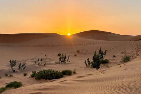 Djerba &Zarzis: Sahara Ksar Ghilane, Matmata & Sidi idriss