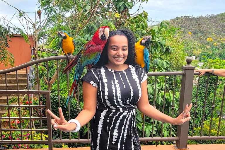 Trinidad: Macaw Bird Sanctuary, Lookout & Savannah Tour