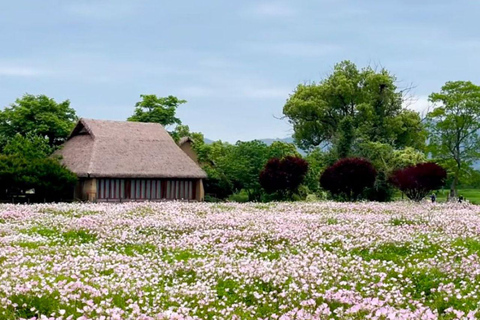 Hangzhou: Liangzhu Ruins & Jingshan Temple Private Tour Private Tour for 4 People