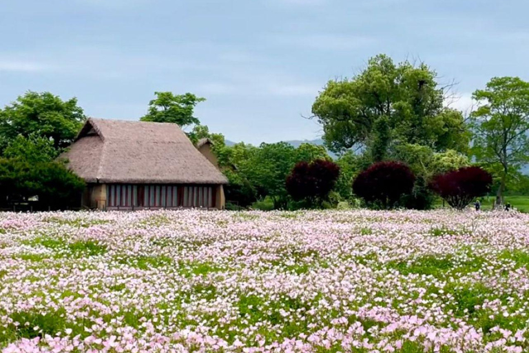 Hangzhou: Liangzhu Ruins & Jingshan Temple Private Tour Private Tour for 4 People
