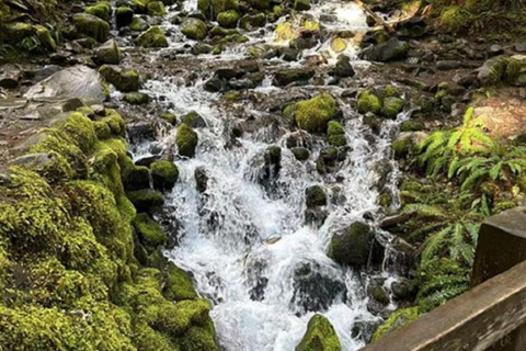 Small Group: Olympic Park & Forks Day Trip From Seattle